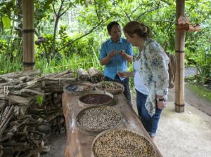 Coffee Plantation